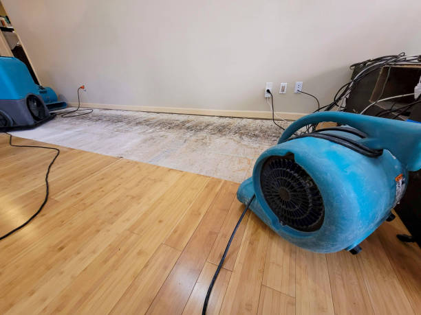 Professional Basement Flood Cleanup technician working in Wharton, TX
